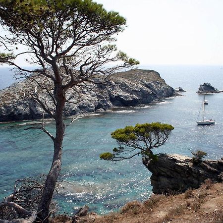 T2 vue mer 50m de la plage à Giens (83) Hyères Exterior foto