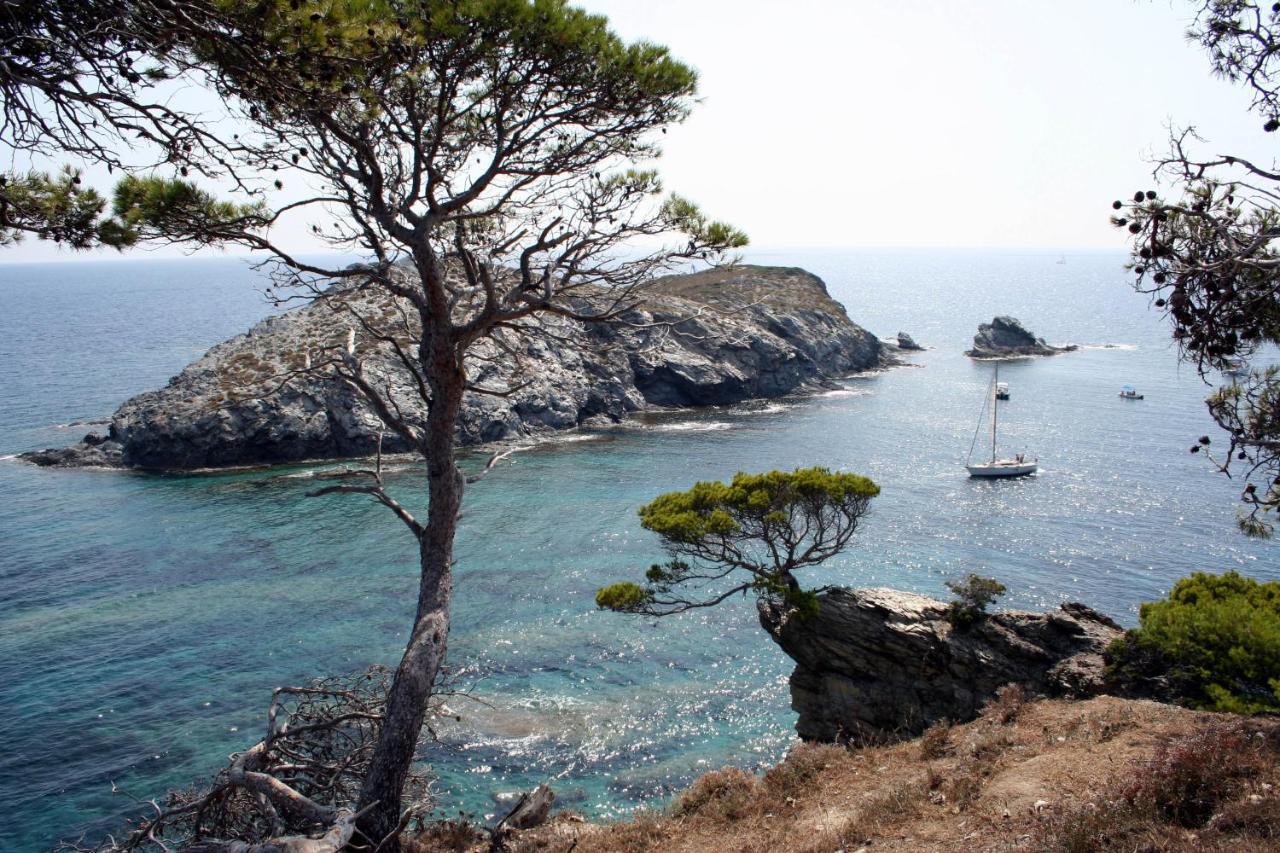 T2 vue mer 50m de la plage à Giens (83) Hyères Exterior foto